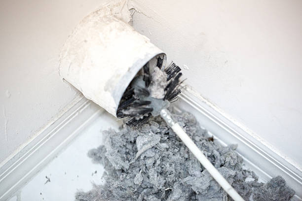 Air Duct Mold Removal